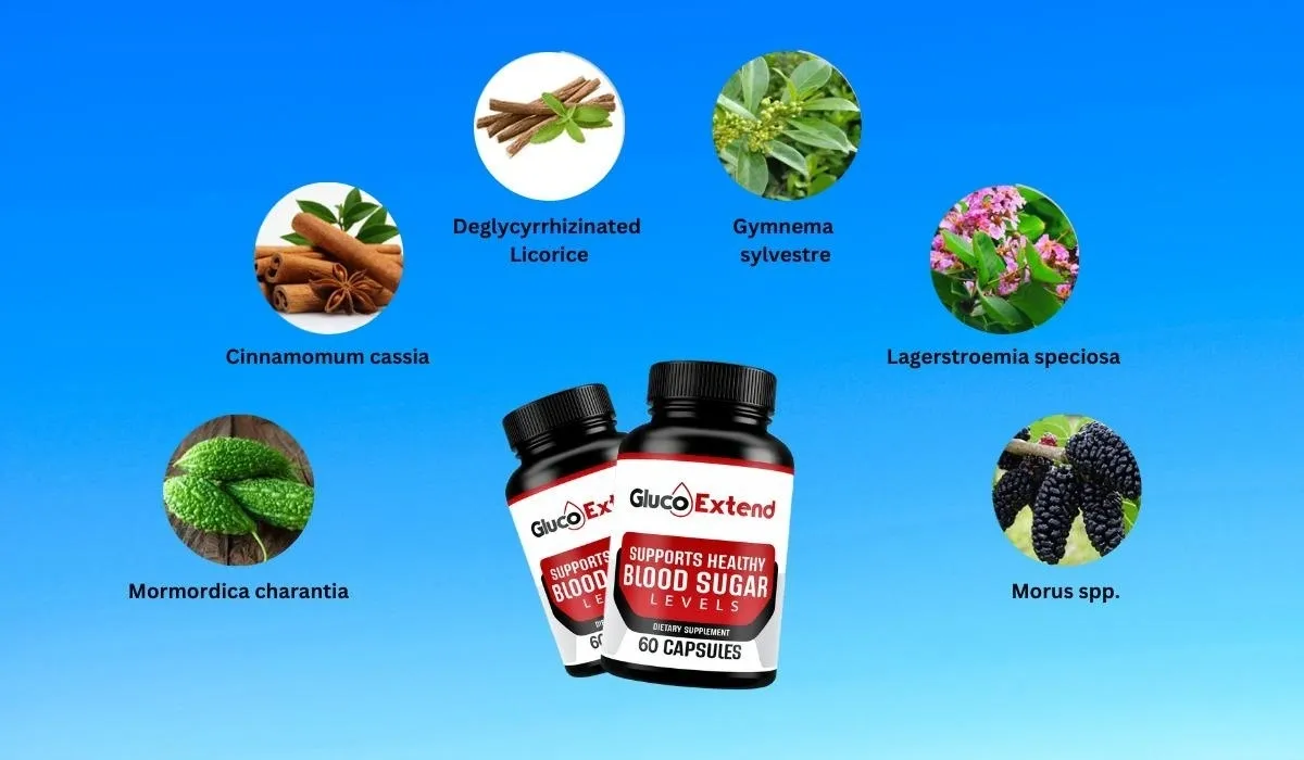 Gluco-Extend-ingredients