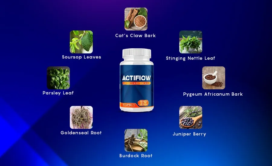 actiflow-ingredients